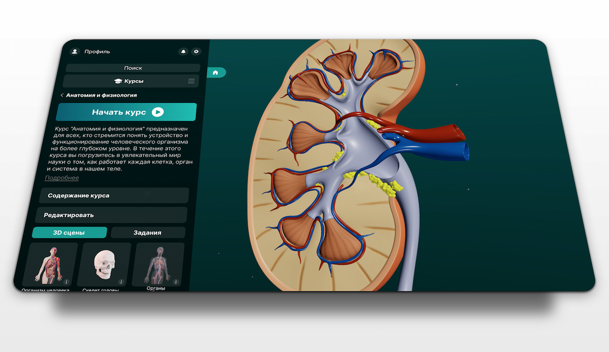 3D платформа для обучения и создания интерактивных курсов